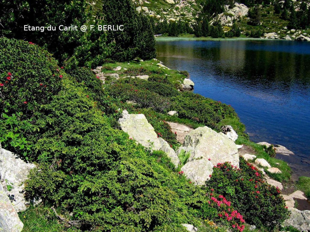 Camping Las Asperas*** Palau-de-Cerdagne Dış mekan fotoğraf