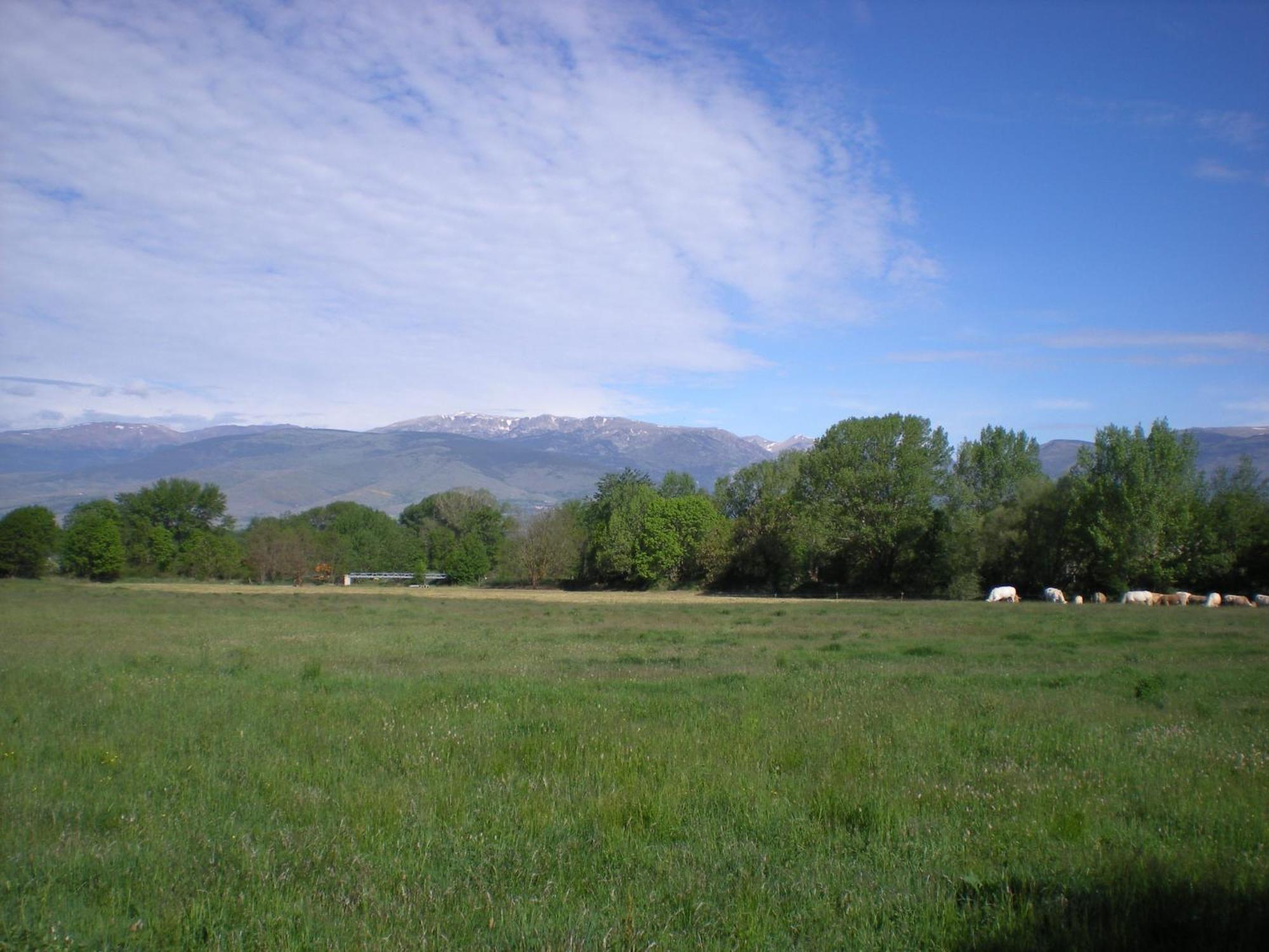 Camping Las Asperas*** Palau-de-Cerdagne Dış mekan fotoğraf