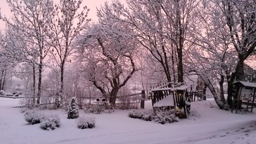 Camping Las Asperas*** Palau-de-Cerdagne Dış mekan fotoğraf